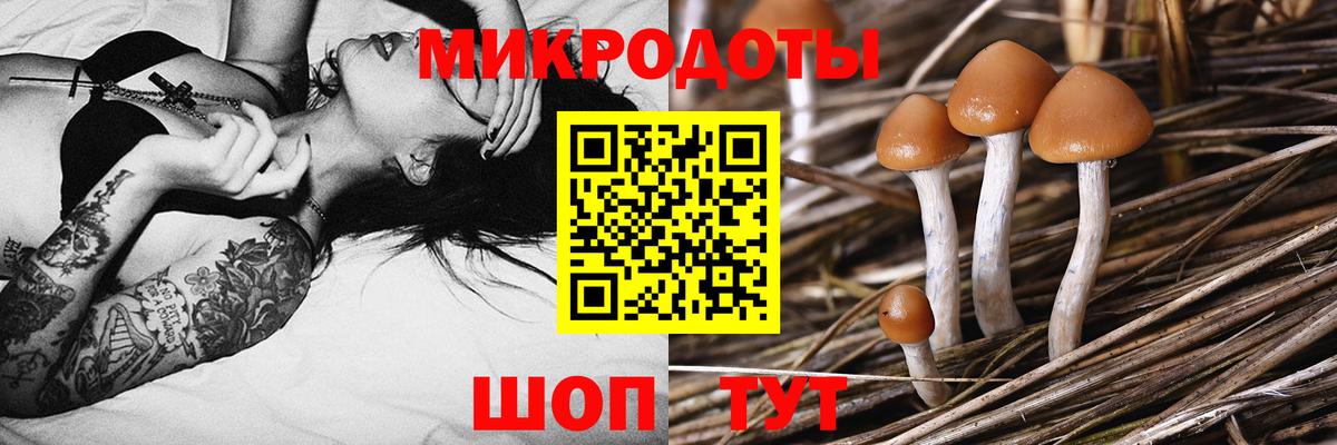 Галлюциногенные грибы Cubensis  Галлюциногенные грибы мицелий  Строитель  Вход с VPN 